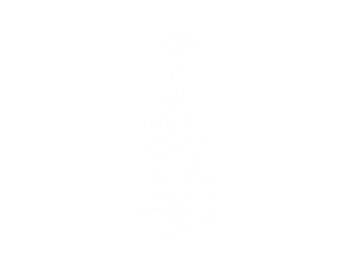 Violín